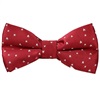 Noeud Papillon et Mouchoir Bordeaux avec Étoiles Blanches