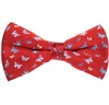 Papillon et Mouchoir Bordeaux avec Papillons Bleus