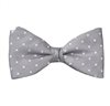 Noeud papillon et pochette grise à pois