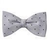 Noeud Papillon et Mouchoir Gris à Pois Bleus