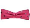 Noeud Papillon et Mouchoir Magenta avec Cachemire Bleu