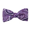 Noeud Papillon et Mouchoir Violet Cachemire Lilas