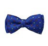 Noeud papillon et Mouchoir Enfant Bleu Ciel Fleurs