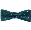 Papillon et Mouchoir Enfant Vert Foncé à Motif Cachemire Bleu