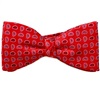 Noeud Papillon et Mouchoir Rouge avec Cachemire Bleu