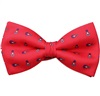 Papillon et Mouchoir Rouge avec Attaches