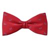 Noeud Papillon et Mouchoir Rouge Paisley Bleu