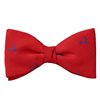 Noeud Papillon et Mouchoir Rouge Patineurs