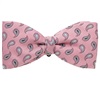 Noeud Papillon et Mouchoir Rose avec Cachemire Gris