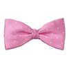Noeud Papillon et Mouchoir Rose à Pois