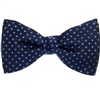 Noeud Papillon et Mouchoir en Soie Bleu à Pois Bleu Ciel