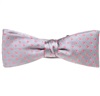 Noeud Papillon et Mouchoir en Soie Enfant Gris à Pois Roses