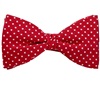 Noeud Papillon et Mouchoir en Soie Rouge à Pois Blancs