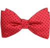 Papillon et Mouchoir en Soie Rouge à Pois Noirs