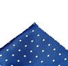Mouchoir de Poche en Soie Bleu Ciel à Pois